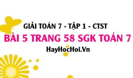 Giải bài 5 trang 58 Toán 7 Tập 1 SGK Chân trời sáng tạo